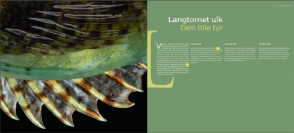 FISK - scaled-up - pages FISK - scaled-up - pages