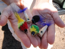 Tarasedges and huge poppers Tarasedges and huge poppers