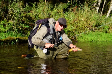 Native trout Native trout