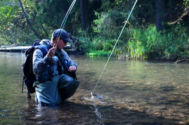 Exchanging looks Exchanging looks