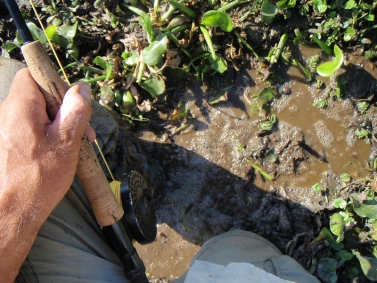 Muddy approach Muddy approach