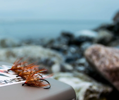 On the coast On the coast