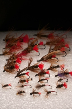 Variations! Variations!