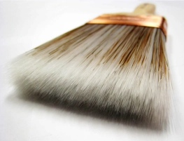 Frizzy brush hairs Frizzy brush hairs