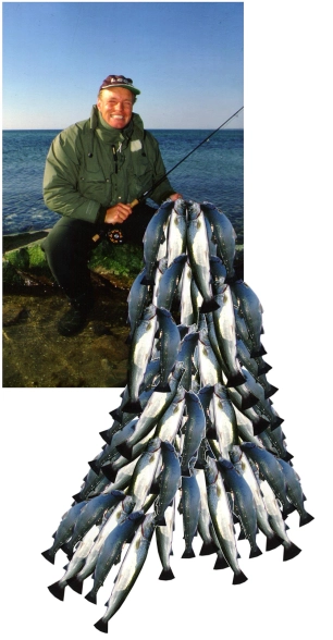 A whole lotta fish A whole lotta fish