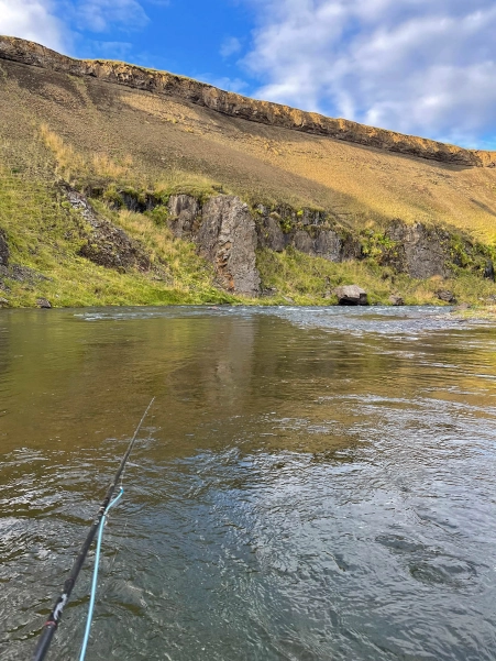 Drifting a fly Drifting a fly