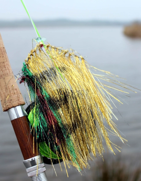 Perch-like colors Perch-like colors