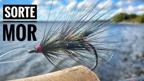 Video thumb for Black Mother