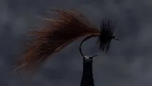 Video thumb for Landon Mayer's Mini-Leech