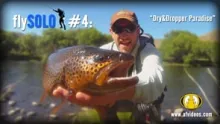 Video thumb for flySOLO #4 - Dry & Dropper Paradise