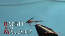 Video thumb for Rabbit and Mallard