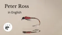 Video thumb for Peter Ross (nymph)