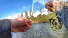 Video thumb for Fly Fishing Big Brown Trout