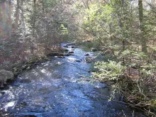 User submitted picture: Salars Nursery