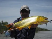 User submitted picture: Dorado flyfishing