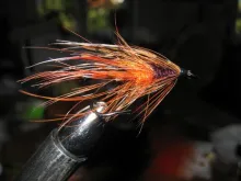 User submitted picture: Good fly for Salmon in Sw...