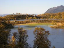 User submitted picture: fall