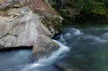 User submitted picture: Wild brook trout waters.