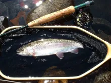 User submitted picture: A nice Rainbow caught whi...