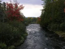 User submitted picture: Where Fontinalis Swims, A...