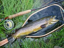 User submitted picture: Stillwater brownie