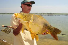 User submitted picture: 10+ kilos carp taken on b...