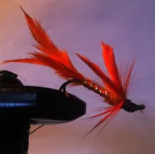 User submitted picture: just colour