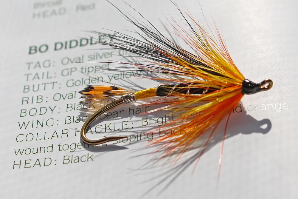 User submitted picture: Bo Diddley