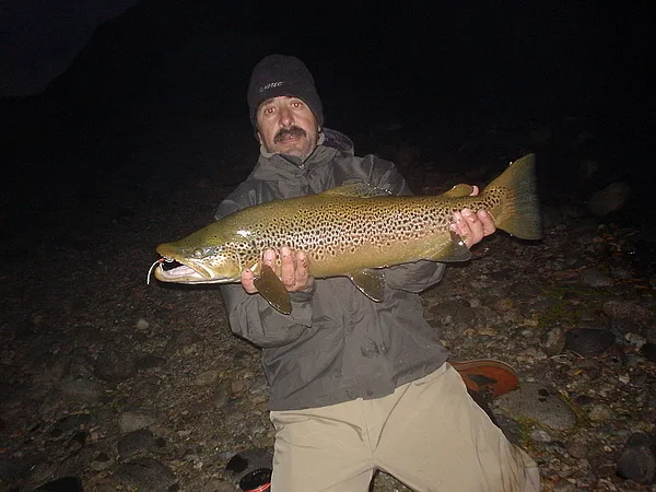 User submitted picture: BROWN TROUT
LIMAY RIVER
...