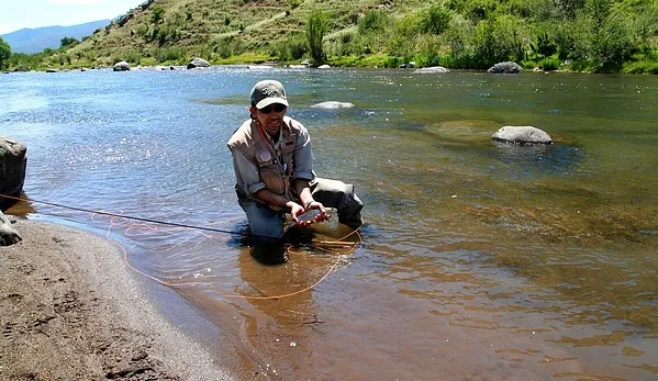 User submitted picture: This little stream is a f...