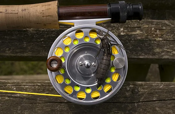 User submitted picture: This is a Dragonfly nymph...