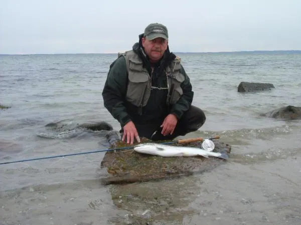 User submitted picture: Nice seatrout  72 cm from...
