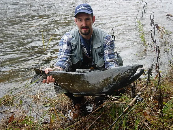 User submitted picture: King Salmon about to be r...