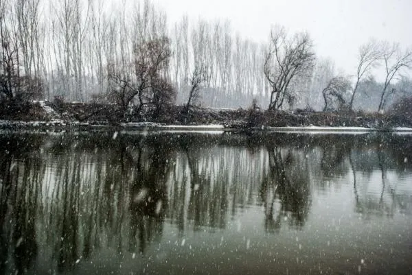 User submitted picture: Snowfall