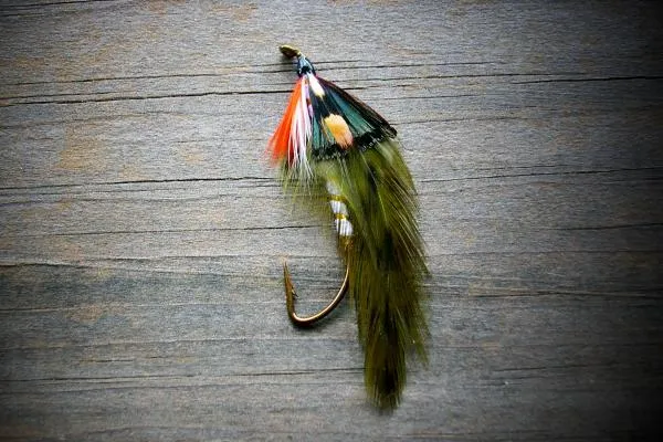 User submitted picture: Brk Trt's "Brook Trout...