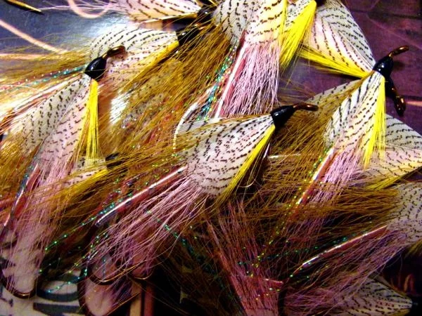 User submitted picture: Pink Floyds