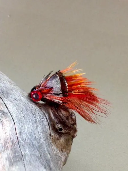 User submitted picture: I call this the "Chief'...