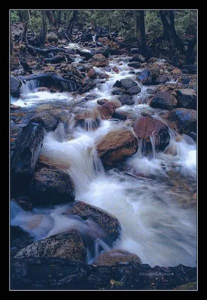 User submitted picture: Camara Nikon F70, Nikon 5...