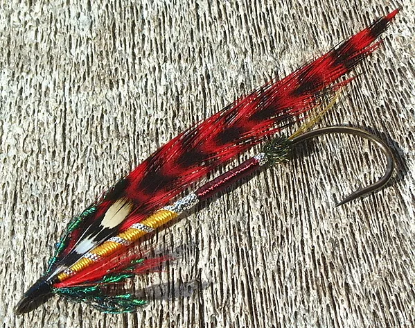 User submitted picture: Forest Fire