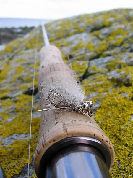 User submitted picture: Bonefish CDC&Elk on a rod...