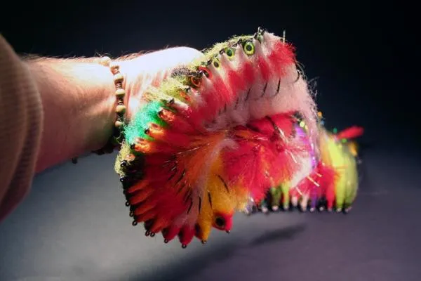 User submitted picture: Taking a photo of a group...