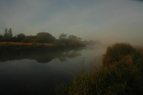 User submitted picture: Five hours before my firs...