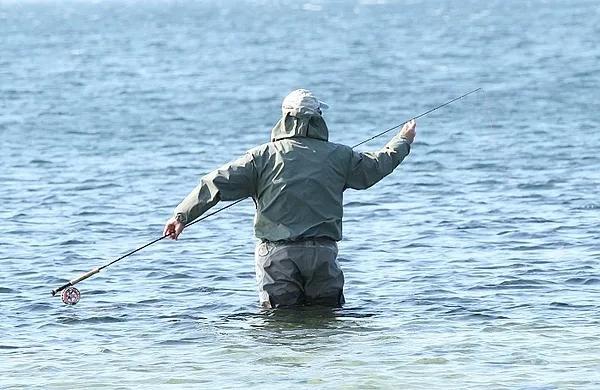 User submitted picture: It is not always as simpl...