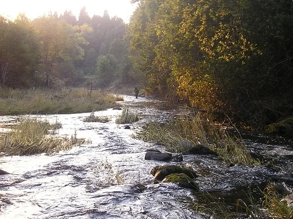 User submitted picture: Alone in the world.