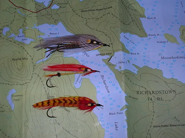 User submitted picture: In Search of Fontinalis