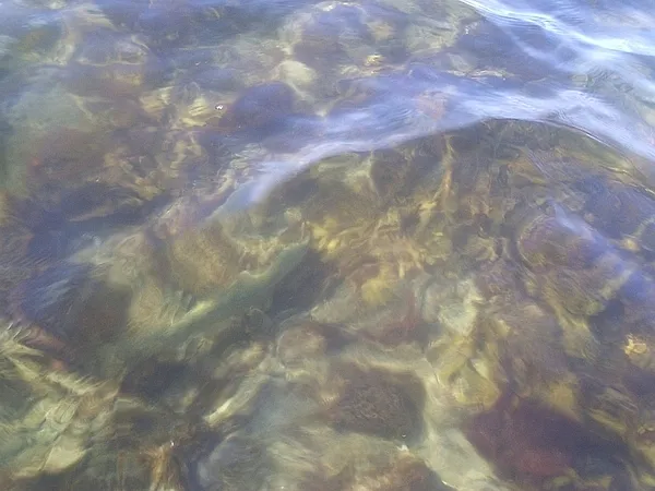 User submitted picture: Gotcha! 
Taken on camera...