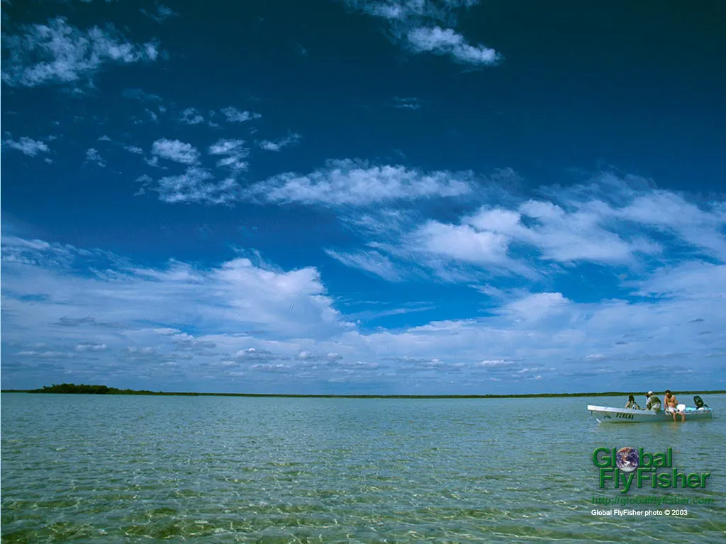 Computer screen wallpaper: Taking a break on the Mexican flats.